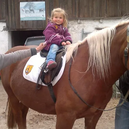 公寓 弗瑞恩瓦内格恩弗斯克尔豪斯 - 迪瑞克艾姆斯酒店