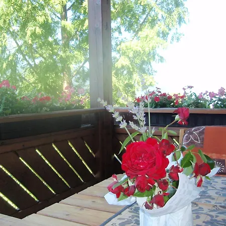 Apartment Ferienwohnungen Fischerhaus - Direkt Am See