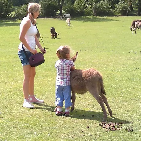 Appartamento Fischerhaus - Direkt Am Millstatt