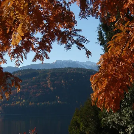 Ferienwohnungen Fischerhaus - Direkt Am See Millstatt