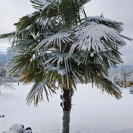 公寓 弗瑞恩瓦内格恩弗斯克尔豪斯 - 迪瑞克艾姆斯酒店 米尔施塔特