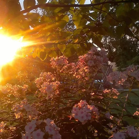 弗瑞恩瓦内格恩弗斯克尔豪斯 - 迪瑞克艾姆斯酒店 公寓