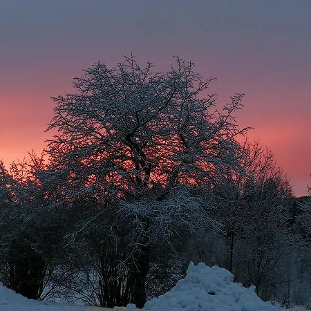 Daire Fischerhaus - Direkt Am