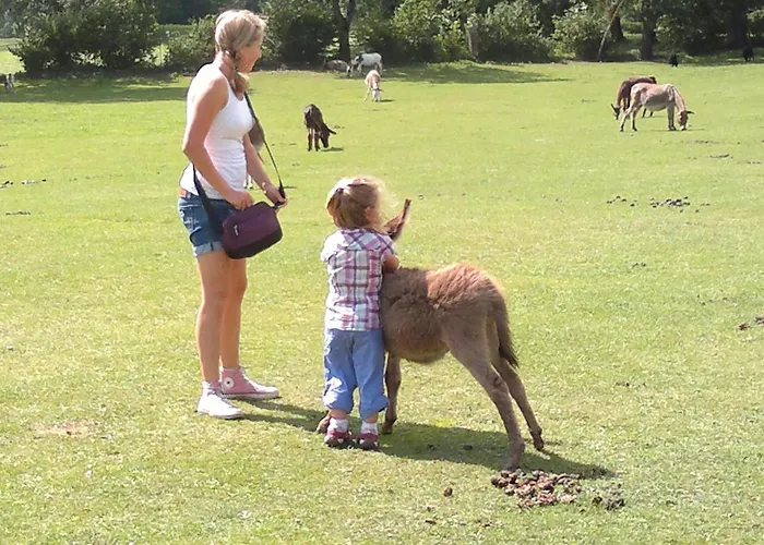 Apartmán Fischerhaus - Direkt Am Millstatt