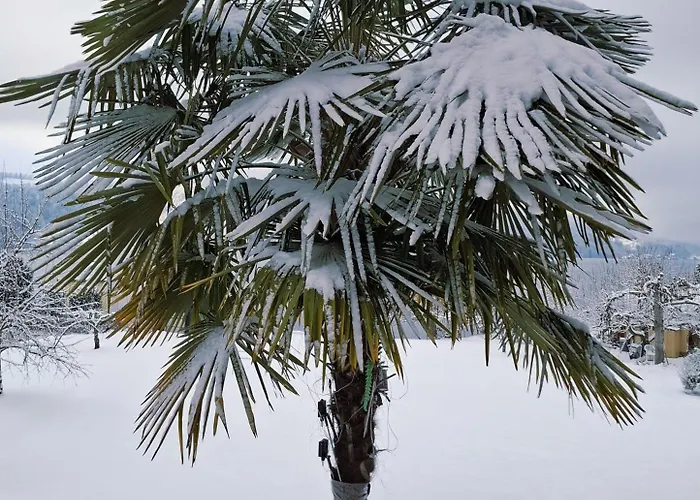 Apartmán Fischerhaus - Direkt Am Millstatt